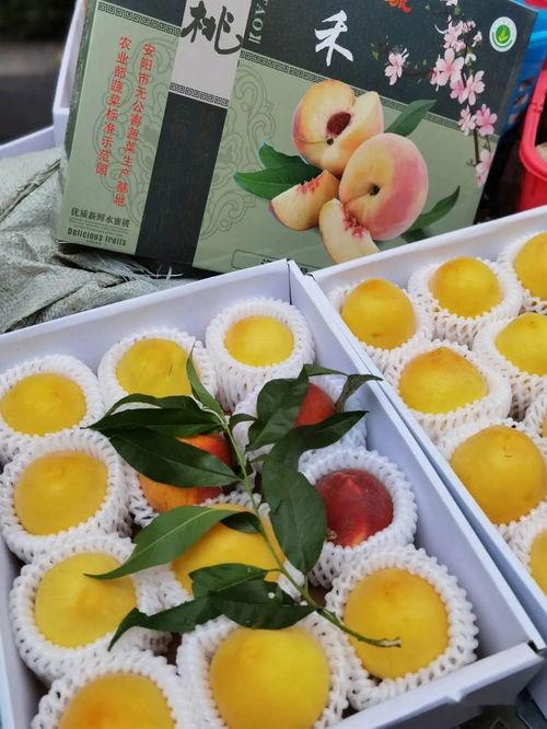 姜同学娱乐小号吃瓜,揭秘娱乐圈那些不为人知的“瓜”